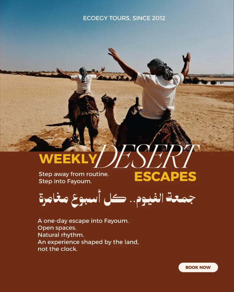 social Media template-10